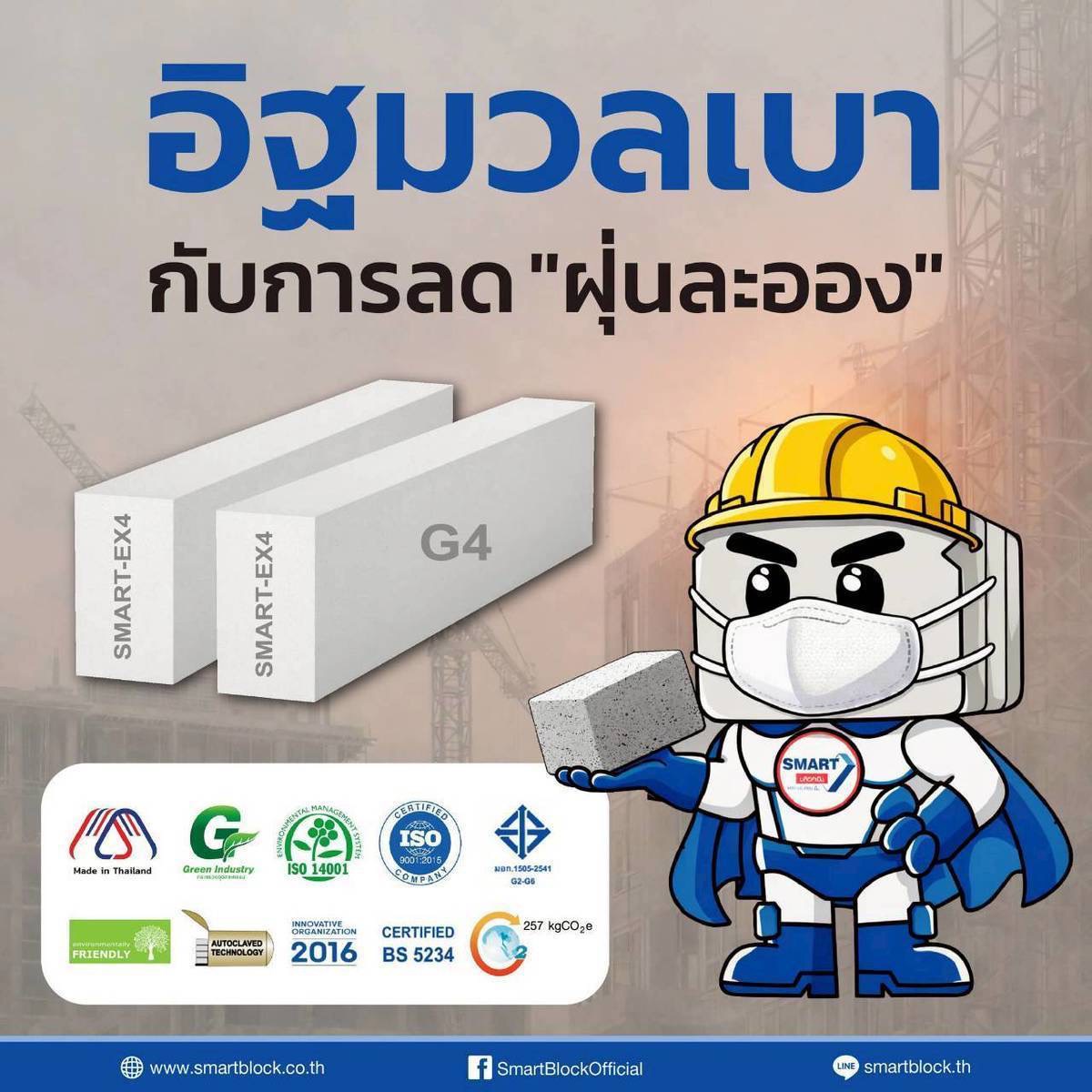 อิฐมวลเบา ขนาด 20x60x9.0 cm.เกรด A - Image 2